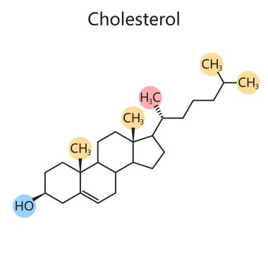 cholesterol molecular structure, chemical bonds and functional groups, biochemistry and medical research diagram hand drawn schematic raster illustration. Medical science educational illustration clipart