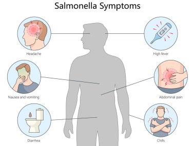 Salmonella belirtileri, baş ağrısı, yüksek ateş, karın ağrısı, mide bulantısı, kusma, ishal, bilgilendirme amaçlı el çizimi şematik raster çizimi. Tıp bilimi eğitimsel illüstrasyon