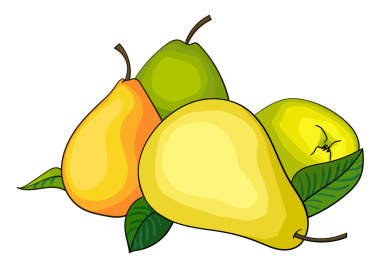 Armut meyveli karikatür el çizimi PNG çizimi