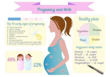 Hamilelik üç aylık infografik PNG