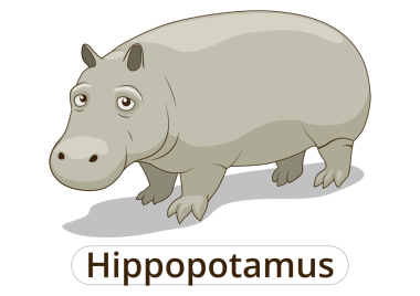 Hippopotamus afrika savanası çocuklar için PNG çizimi