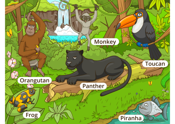 Иллюстрация к мультфильму "Лес с животными"