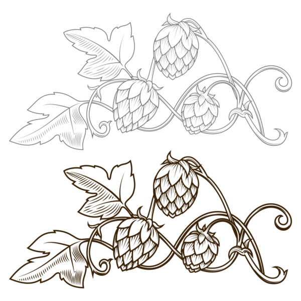 Şık bir hop kolu çizilmiş PNG illüstrasyonu