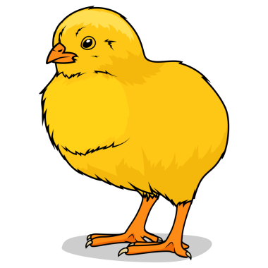 PNG kuş eğitme oyunu