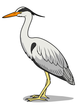 Balıkçıl kuşları eğitme oyunu PNG