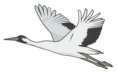 Turna kuşları eğitme oyunu PNG