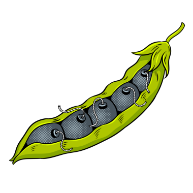 Patlayan bombalı bezelye kabuğu, PNG çizimleri. Çizgi roman tarzı taklit.