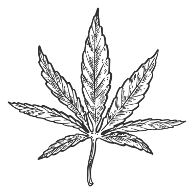 Narkotik kenevir yaprağı işlemeli PNG çizimi. Tahta sitili taklit. Siyah beyaz el çizimi resim.