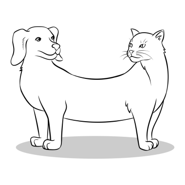 Kedi köpek sahte hayvan boyama PNG çizimi. Beyaz arkaplandaki izole görüntü. Çizgi roman tarzı taklit.