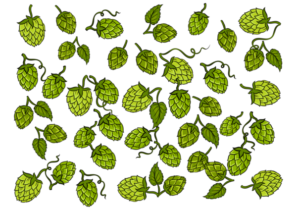 Hops arkaplan karikatürü PNG illüstrasyonu