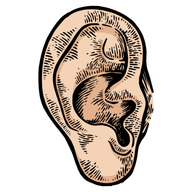 İnsan kulağı rengi çizimi, kabartma PNG çizimi. Tahta sitili taklit. Siyah beyaz el çizimi resim.