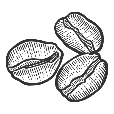 Kahve çekirdekleri kavrulmuş kabartma kabartma PNG çizimi. Tahta sitili taklit. Siyah beyaz el çizimi resim.