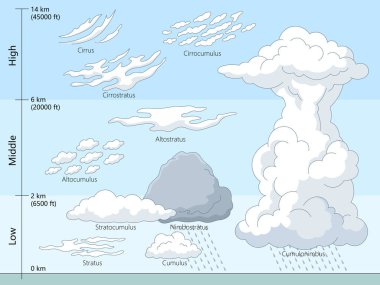 Eğitimsel diyagram, stratus, cumulus, cirrus ve cumulonimbus el çizimi şematik vektör çizimi de dahil olmak üzere, düşük, orta ve yüksek irtifalara göre kategorize edilen farklı bulut türlerini gösterir. 