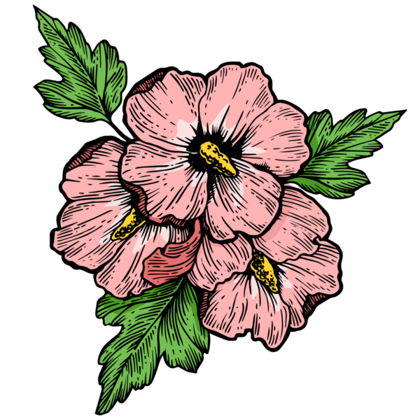 Hibiscus çiçek oyması PNG illüstrasyonuName