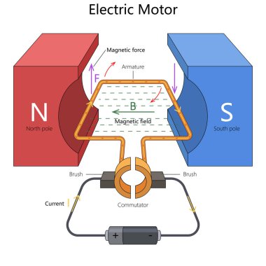 Bir elektrikli motorda manyetik etkileşim, armatür, manyetik alan ve değişmeli el çizimi şematik vektör çizimi dahil. Bilim Eğitimsel İllüstrasyon