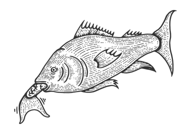 Balıklar daha küçük bir balık eskizini yutar, kabartmalı PNG çizimi. Tahta sitili taklit. Siyah beyaz el çizimi resim.