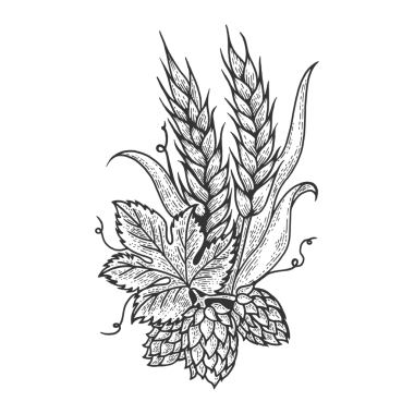 Hops ve Arpa bitkisi kabartma çizimi PNG illüstrasyonu. Tahta sitili taklit. Siyah beyaz el çizimi resim.