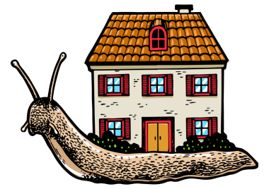 Kabuk yerine ev ile salyangoz PNG çizim