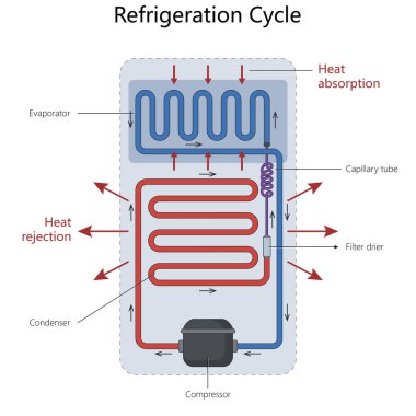Soğutma döngüsü, etiketli buharlaştırıcı, yoğunlaştırıcı ve kompresör diyagramı kullanarak ısı emilim ve reddetmeyi gösteriyor. Bilim Eğitimsel İllüstrasyon