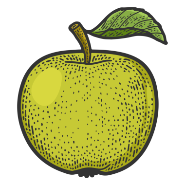 Elma meyvesi kabartması, PNG çizimi. Tişört giysisi baskısı tasarımı. Çizik tahtası taklidi. Siyah beyaz el çizimi resim.