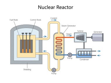 Bir nükleer reaktörün yakıt çubukları, kontrol çubukları, buhar, türbinler ve el çizimi şematik vektörler kullanarak nasıl elektrik ürettiğini. Bilim Eğitimsel İllüstrasyon