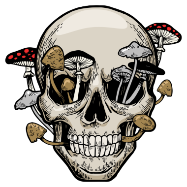 Mantarlı insan kafatası, kabartma PNG.