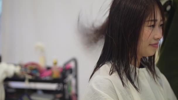 Erkek Kuaför Bir Kadının Saçına Saç Kurutma Makinesi Sürüyor — Stok video