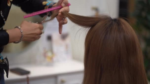 Fryzjer Męski Cięcia Kobieta Włosy — Wideo stockowe