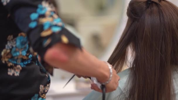 Male Hairdresser Ironing Woman Hair — Vídeos de Stock