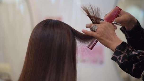 Männliche Friseur Schneiden Das Haar Der Frau — Stockvideo