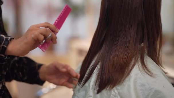 Penata Rambut Pria Memotong Rambut Wanita — Stok Video