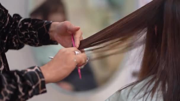 Mannelijke Kapper Snijden Vrouw Haar — Stockvideo