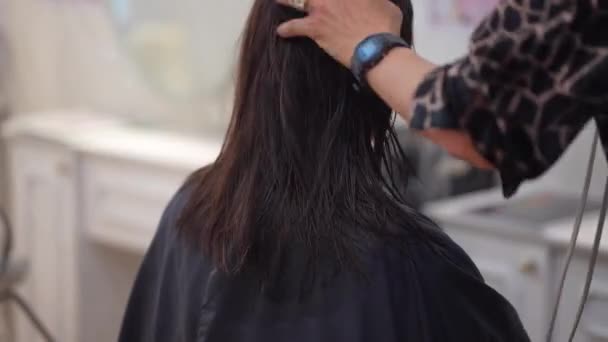 Αρσενικό Κομμωτήριο Εφαρμογή Στεγνωτήρα Μαλλιών Στα Μαλλιά Μιας Γυναίκας — Αρχείο Βίντεο