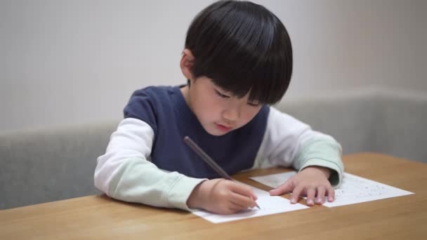 Image Boy Practicing Handwriting — Vídeo de Stock