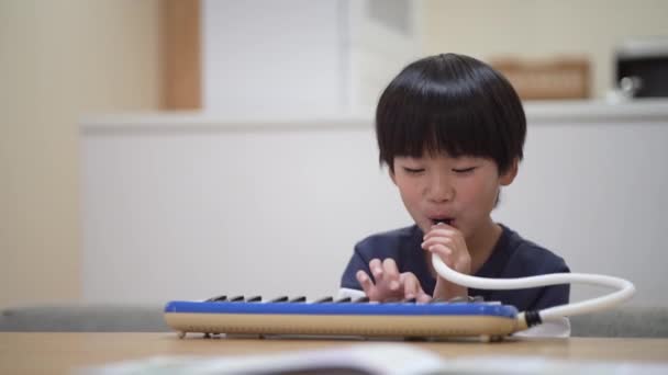 Rapaz Praticar Harmónica Teclado — Vídeo de Stock