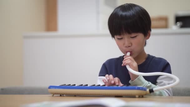 Хлопчик Практикує Гармоніку Клавіатури — стокове відео