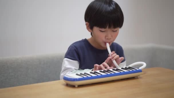 Rapaz Praticar Harmónica Teclado — Vídeo de Stock