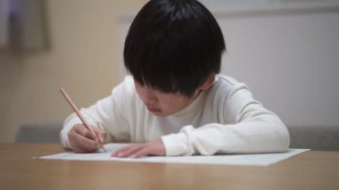 Image of a boy studying at home