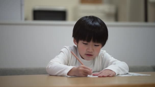 Image Boy Studying Home — Video Stock