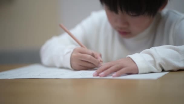 家で勉強する少年のイメージ — ストック動画