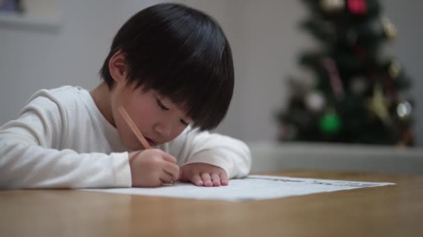 Image Boy Studying Home — Stock video