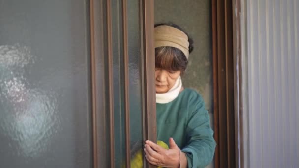 Woman Cleaning Front Door — Vídeo de Stock