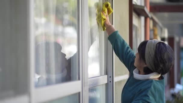 窓を掃除する女性 — ストック動画