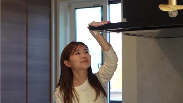 Woman Cleaning Ventilation Fan — Vídeo de Stock