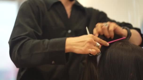 Männliche Friseur Schneiden Das Haar Der Frau — Stockvideo