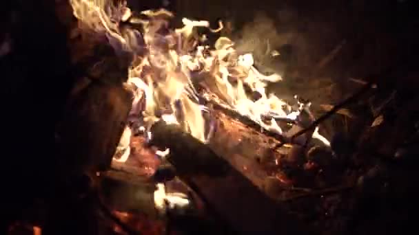 Традиционное Японское Мероприятие Dondo Yaki — стоковое видео