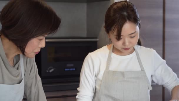 Yemek Pişiren Bir Kadın Resmi — Stok video