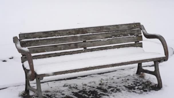 Obraz Spadającego Śniegu — Wideo stockowe