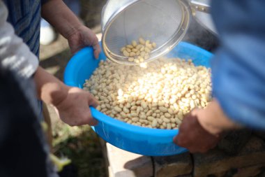 Soya fasulyesi nasıl pişirilir?
