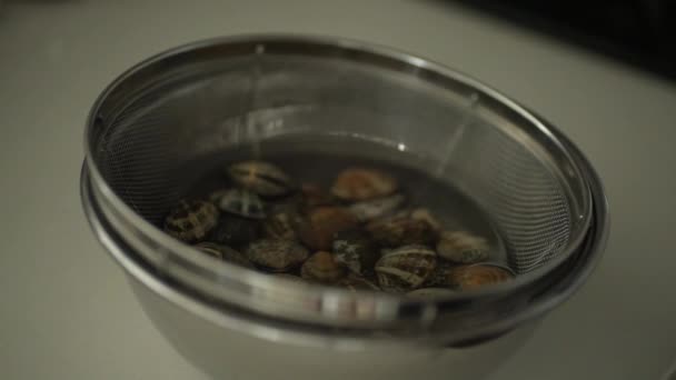 用铝箔在碗中覆盖蛤蟆 — 图库视频影像